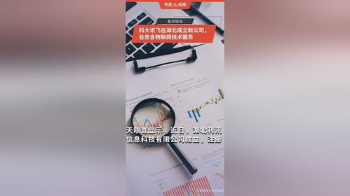 科大讯飞在湖北成立新公司，拓展物联网技术服务版图